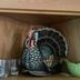 The John Derian Target Thanksgiving Collection Is Here—And It’s Already Selling Out